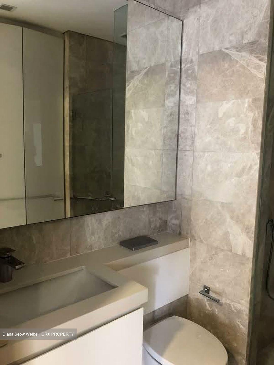 The Laurels (D9), Condominium #540187411